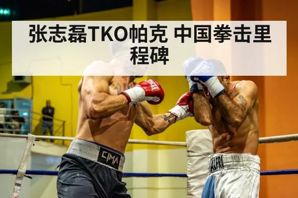 Chinese heavyweight boxer